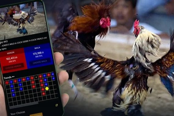 CARA BERMAIN SABUNG AYAM ONLINE DI SITUS RESMI SV388